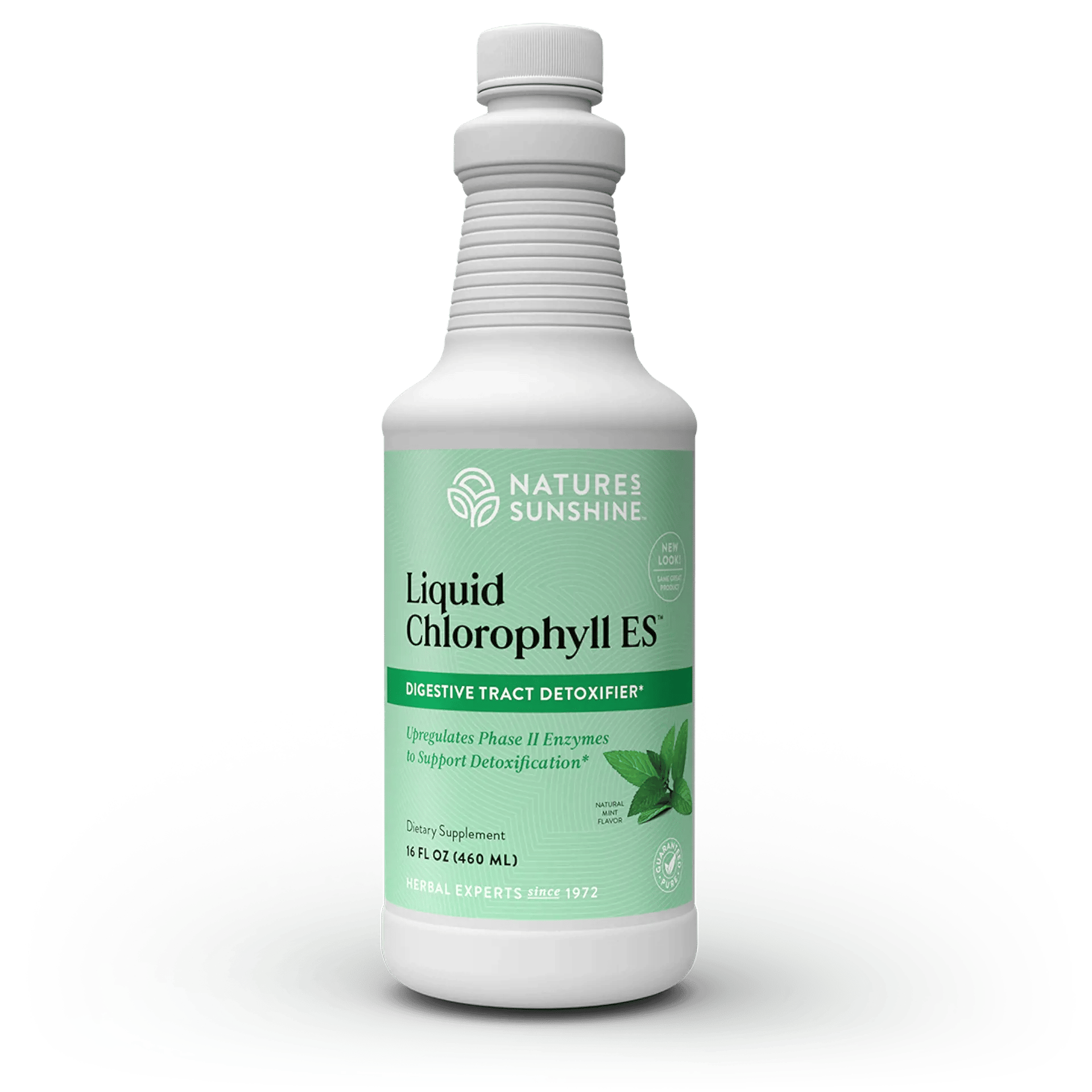 Chlorophyll ES, Liquid (16 fl. oz.)