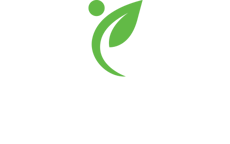 Impact Foundation logo